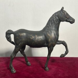 Cavallo Ferro XX