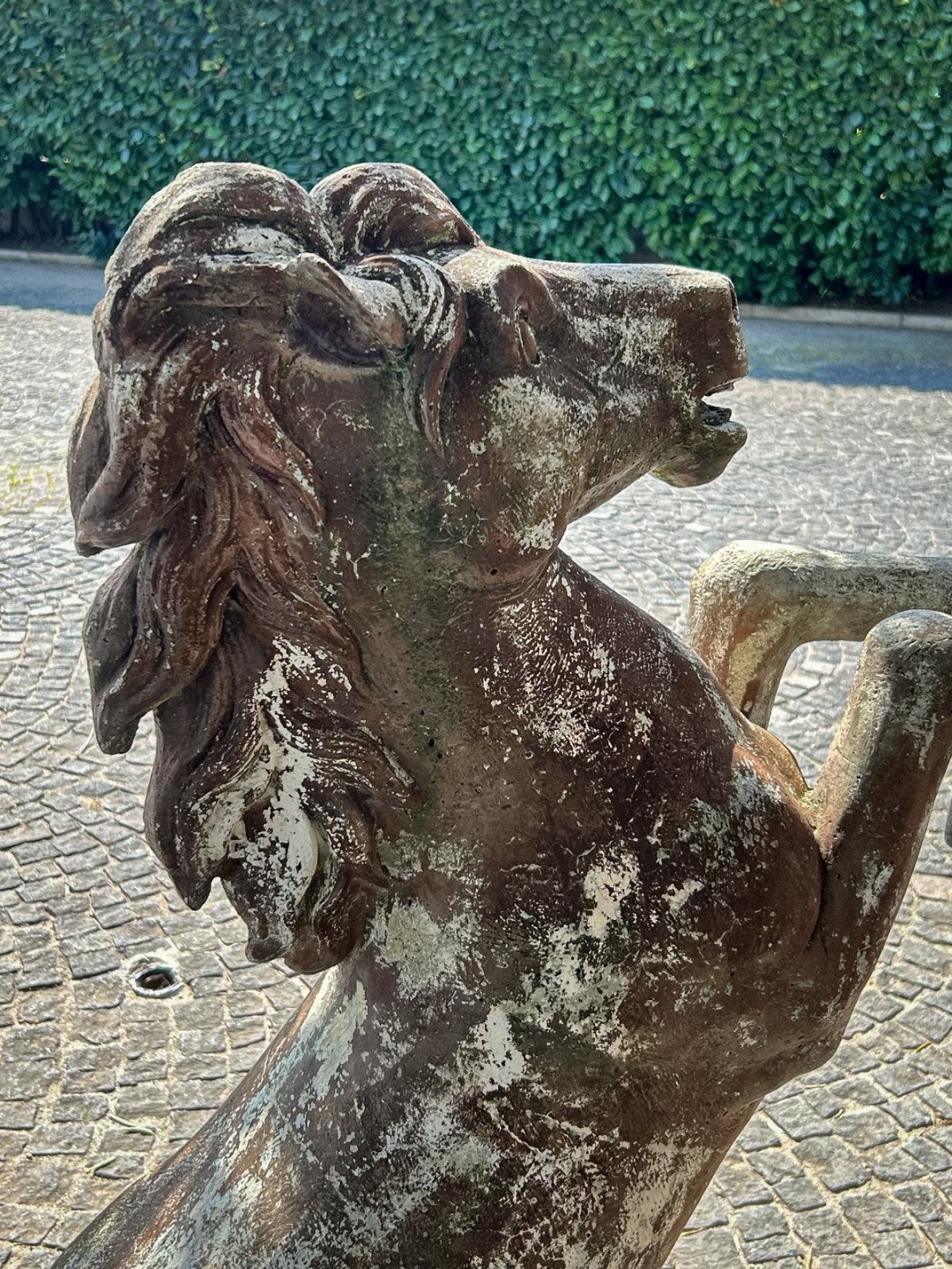Cavallo Pietra '900 - immagine 6