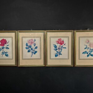Stampe Botaniche "Le Rose"