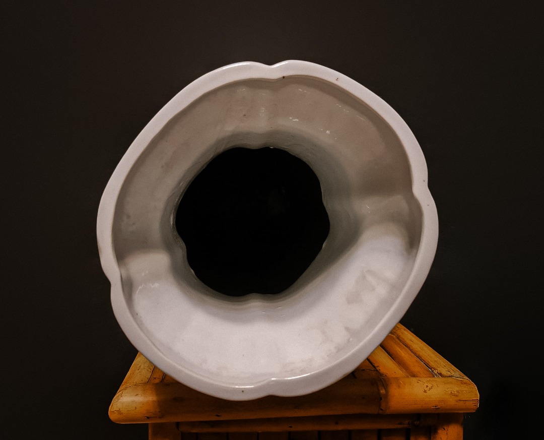 Antico Vaso Cinese - immagine 2