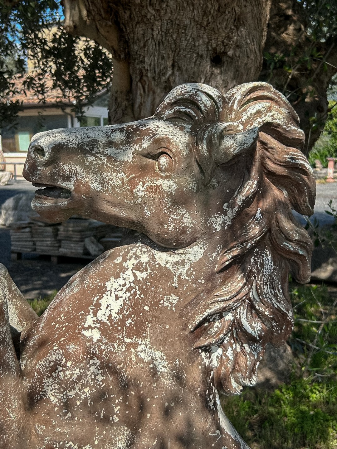 Cavallo Pietra '900 - immagine 2