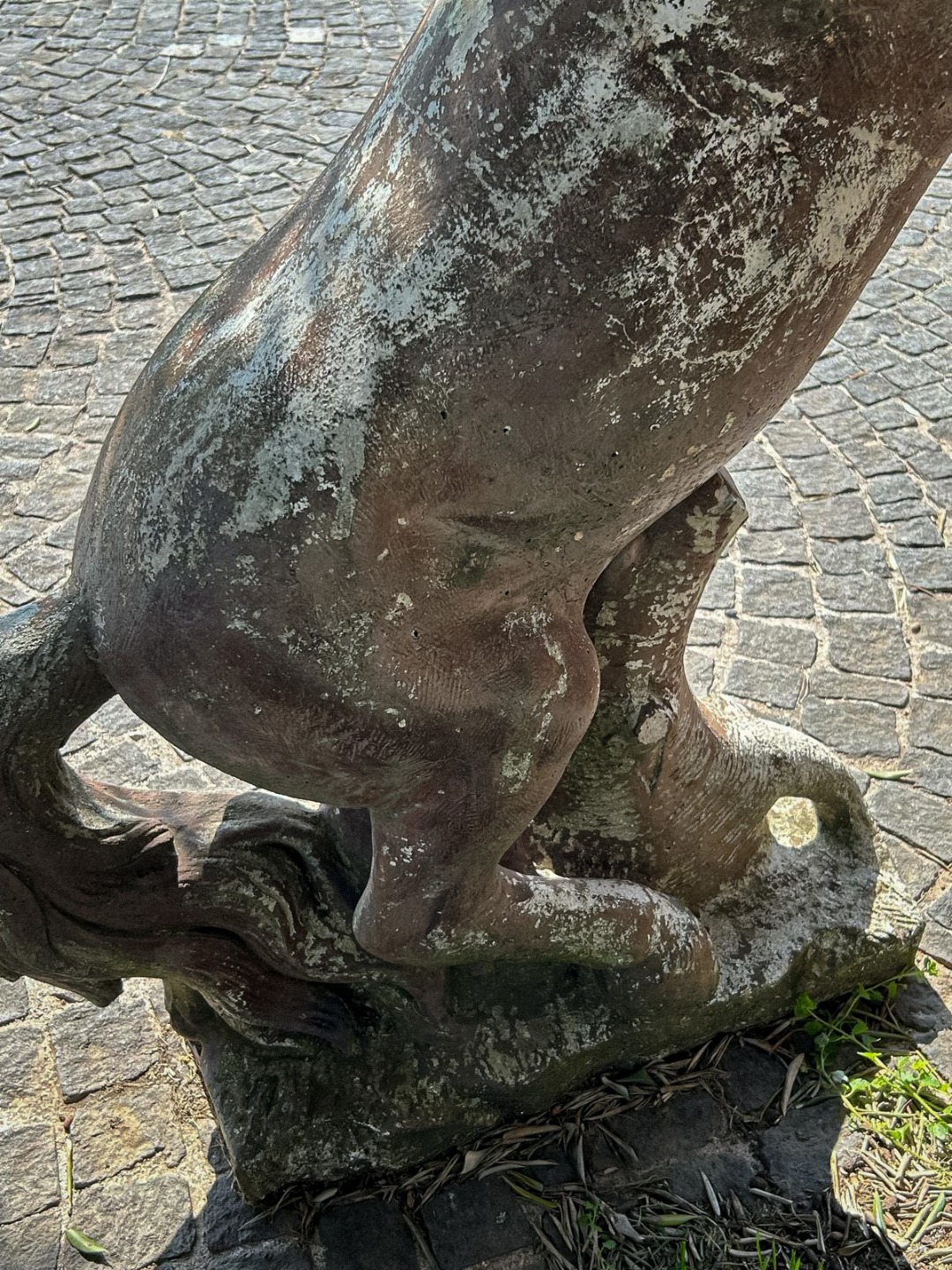 Cavallo Pietra '900 - immagine 4