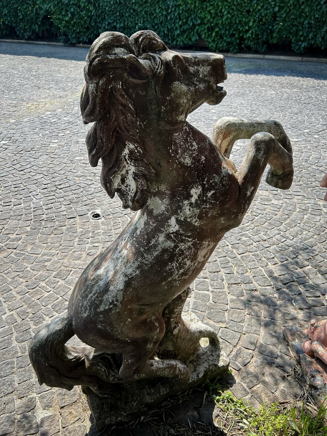 Cavallo Pietra '900 - immagine 7