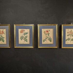 4 Stampe Botaniche
