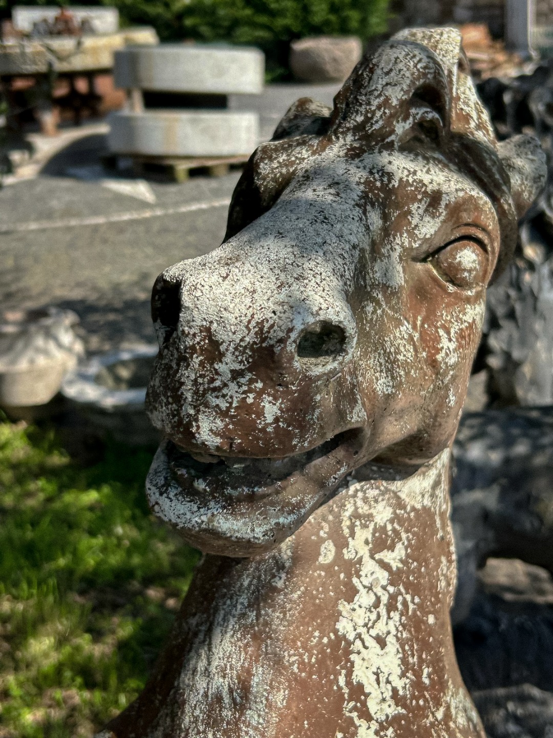 Cavallo Pietra '900 - immagine 9