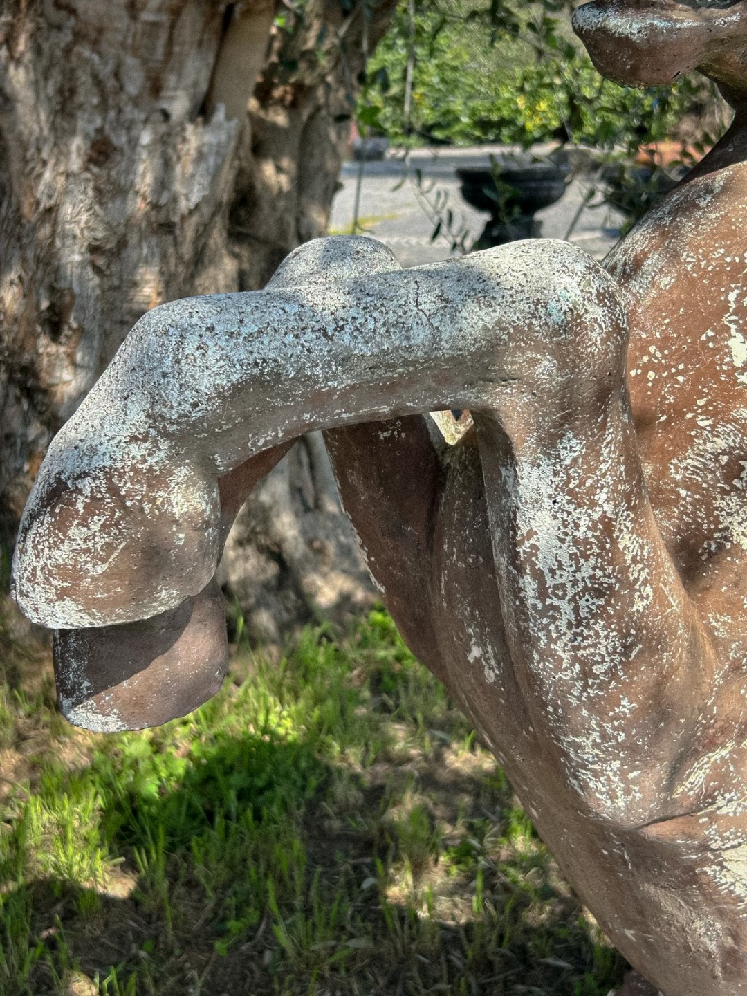 Cavallo Pietra '900 - immagine 10