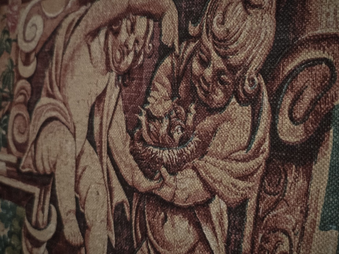 Arazzo Jacquard in Stile Aubusson - immagine 6